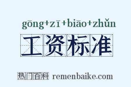 工资标准是什么意思的图片